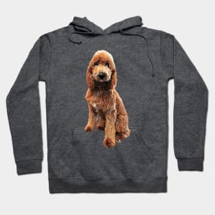 Goldendoodle Golden Doodle Cute Puppy Dog Hoodie